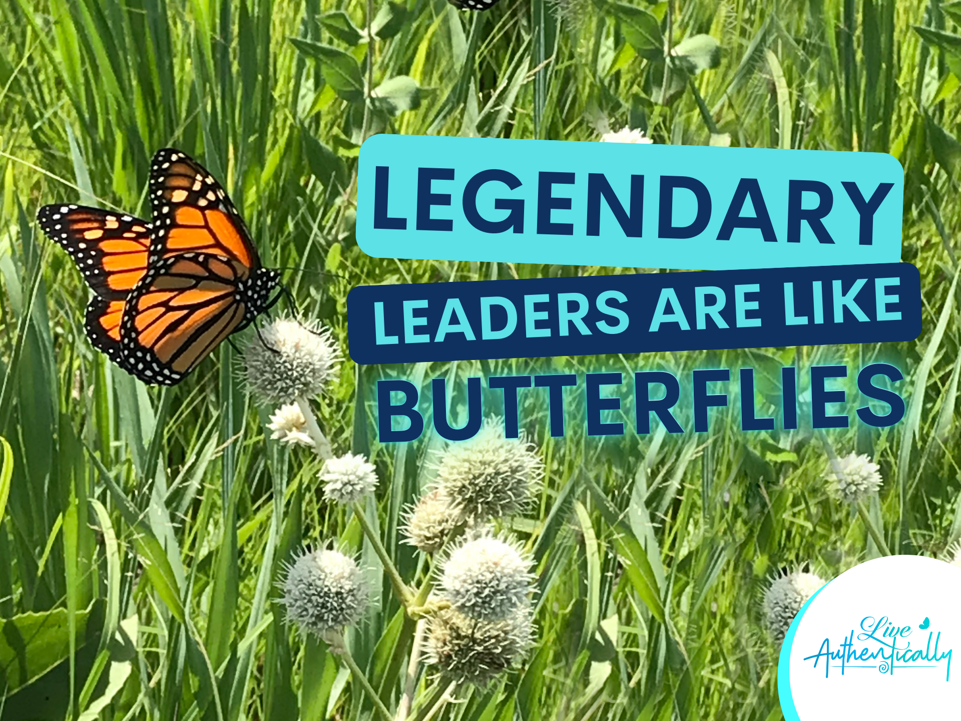 Legendary Leaders Are Like Butterflies